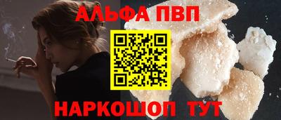 стаф Майкоп