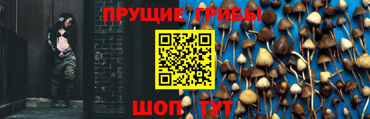 МЕФ   ГАШ  АМФЕТАМИН   ГАШИШ  Вход с VPN  Конопля  Сосновый Бор  Alpha PVP СК   Кокаин 