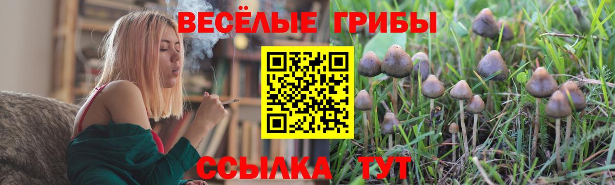 Псилоцибиновые грибы прущие грибы  Вход с VPN  Сосновый Бор 