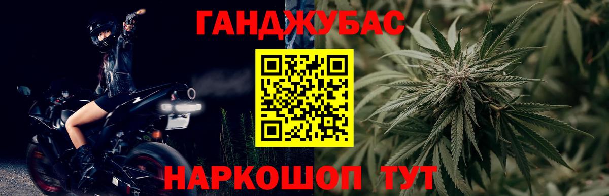 ГАШИШ Сосновый Бор